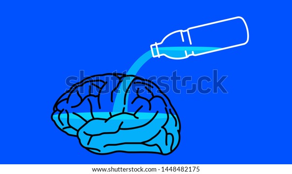 Brain and Water